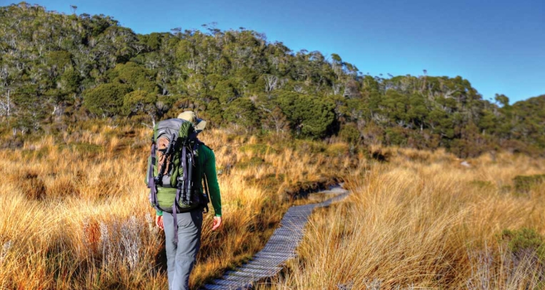 heaphy track guided walk