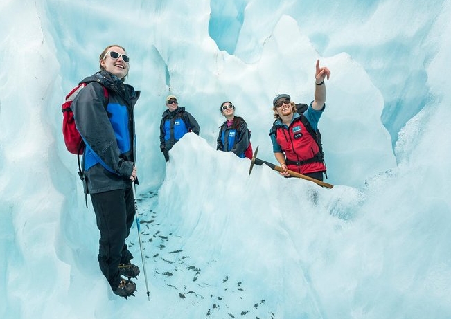 fox glacier trek