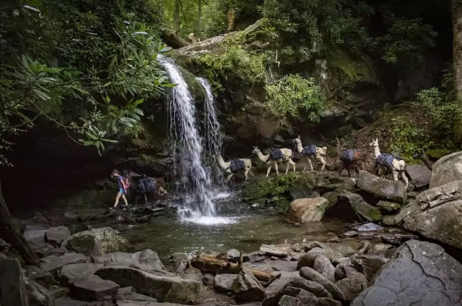 smoky mountain waterfall hike
