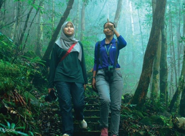 skytrail jungle trekking