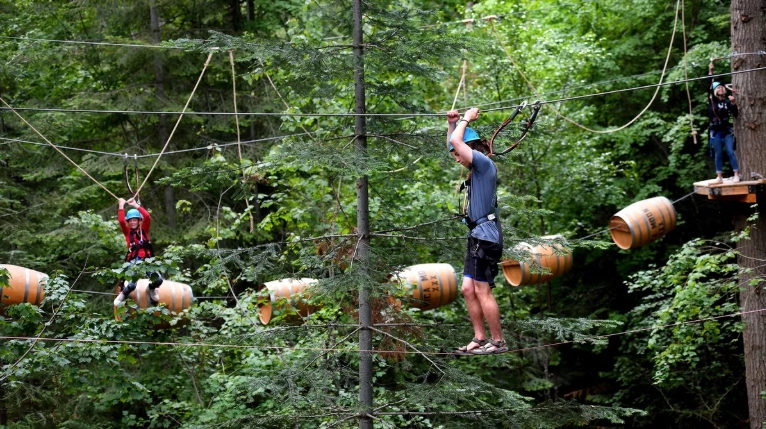 aerial tree obstacle course