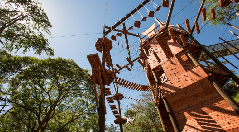 aerial treetop adventure park