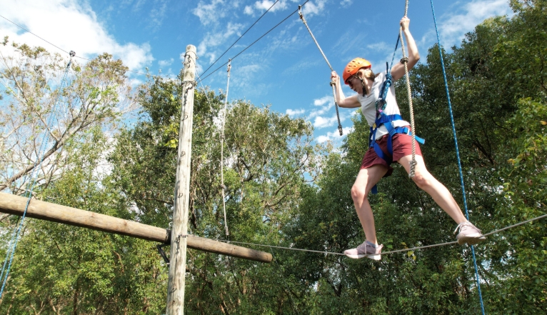 aerial ropes near me