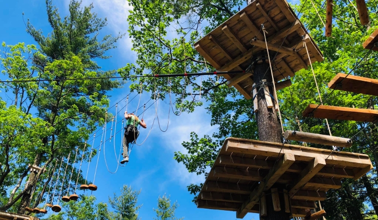 aerial treetop adventure