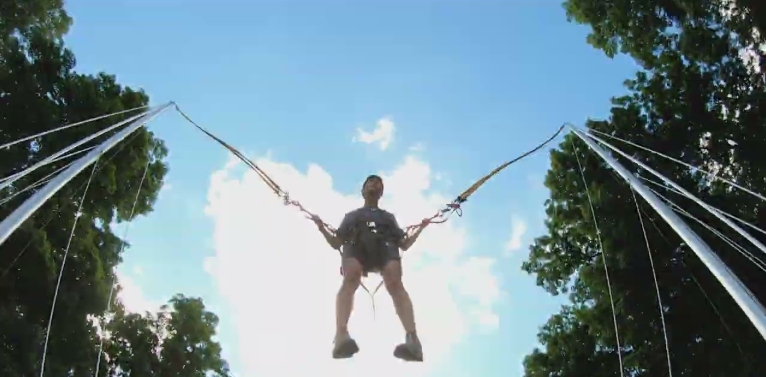 bristol zipline canopy tour