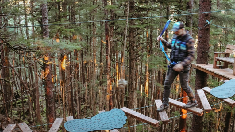 aerial tree adventure