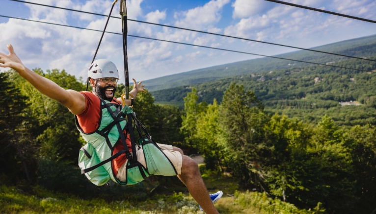 aerial park zipline
