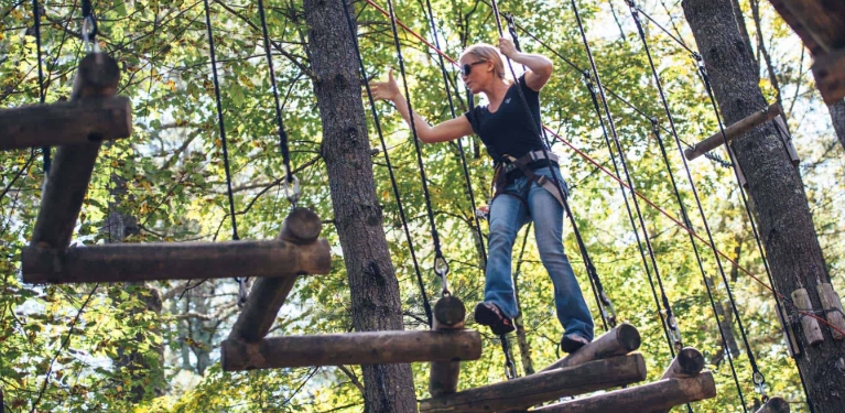 tree to tree adventure park hours