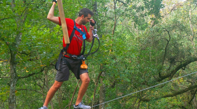treehoppers aerial adventure