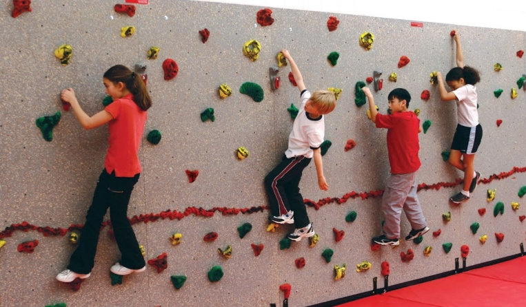 bouldering holds for sale