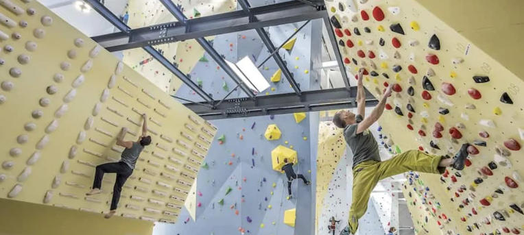 walltopia climbing walls