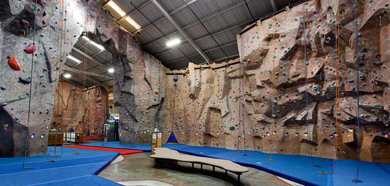climbing wall for sale