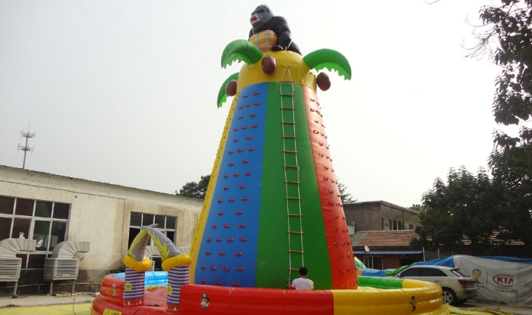 inflatable rock climbing wall
