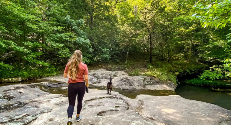 jackson falls climbing